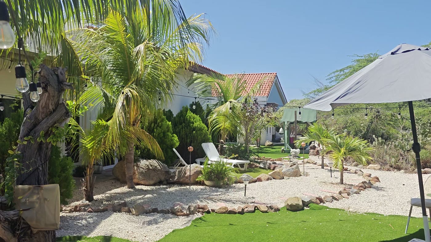 The front garden with young palms, string lights and a pebble path