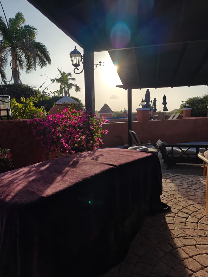 A massage table under a plum-coloured sheet on a covered patio, beside a bougainvillea in flower, with palms and the low sun behind