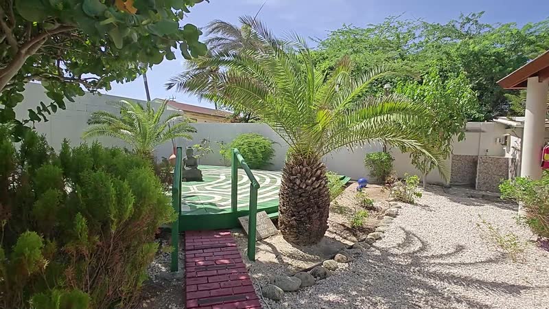 A slow pan across the garden, past a young palm to the small green bridge over the pond